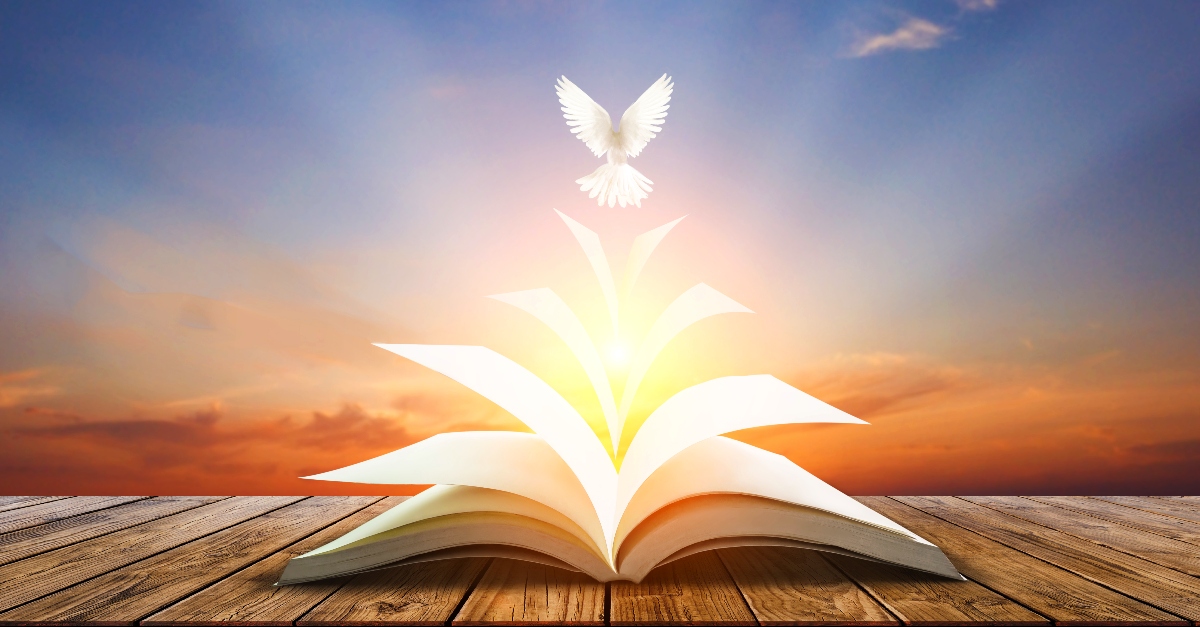 Chúa Thánh Thần - Đấng canh tân Giáo hội